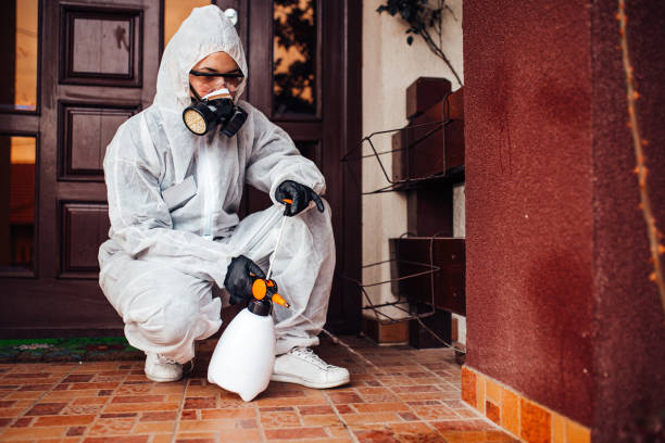 Reliable Mosquito Control contractor in Eagan, MN by Show Me Pest Control